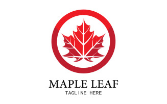 Leaf Mapple vector logo icon v34