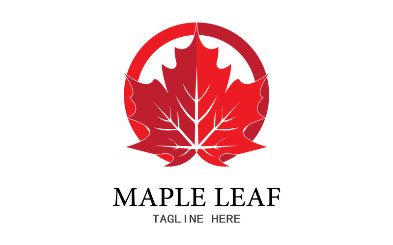Leaf Mapple vector logo icon v35 Logo Template