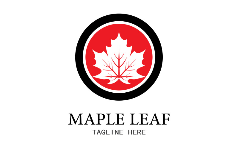 Leaf Mapple vector logo icon v36 Logo Template
