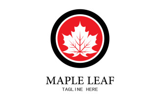 Leaf Mapple vector logo icon v36