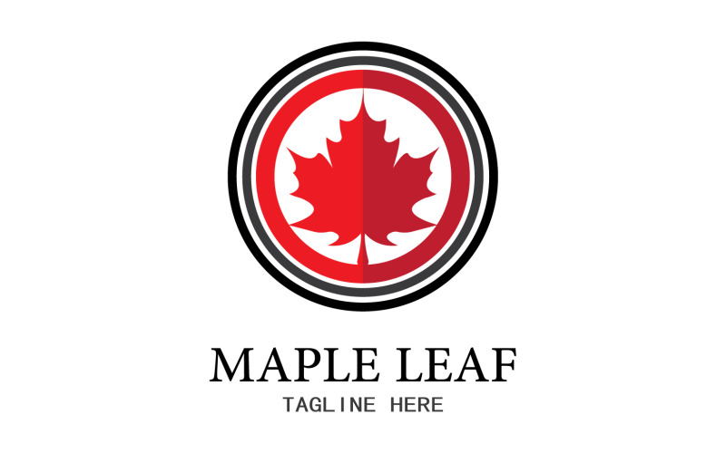 Leaf Mapple vector logo icon v37 Logo Template