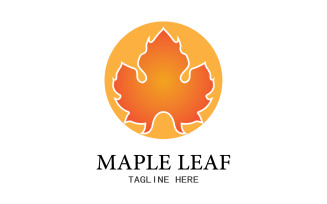 Leaf Mapple vector logo icon v38