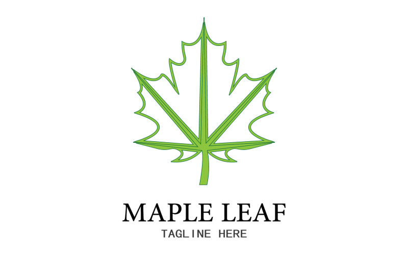 Leaf Mapple vector logo icon v3 Logo Template