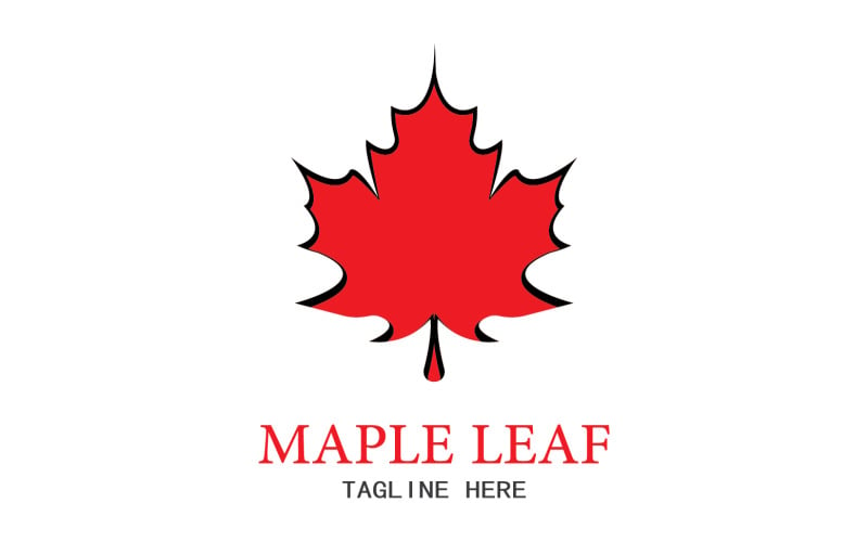 Leaf Mapple vector logo icon v41 Logo Template