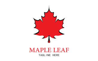 Leaf Mapple vector logo icon v41