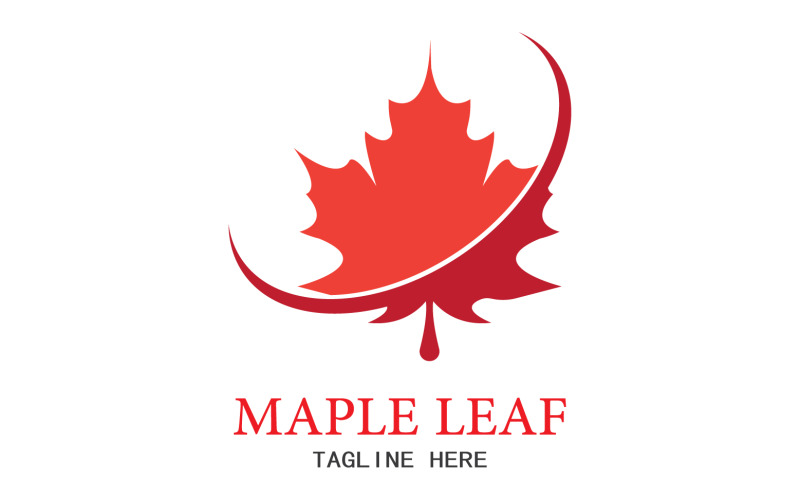 Leaf Mapple vector logo icon v42 Logo Template