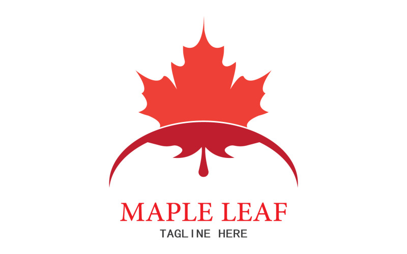 Leaf Mapple vector logo icon v43 Logo Template
