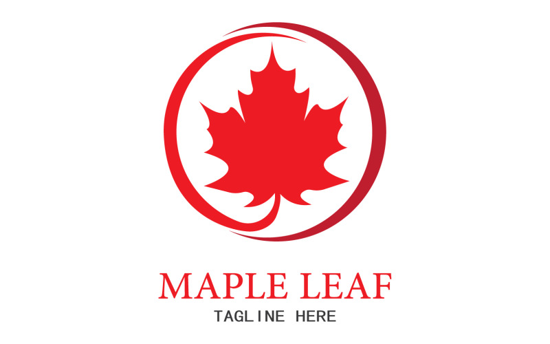 Leaf Mapple vector logo icon v44 Logo Template