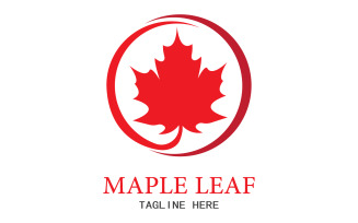 Leaf Mapple vector logo icon v44