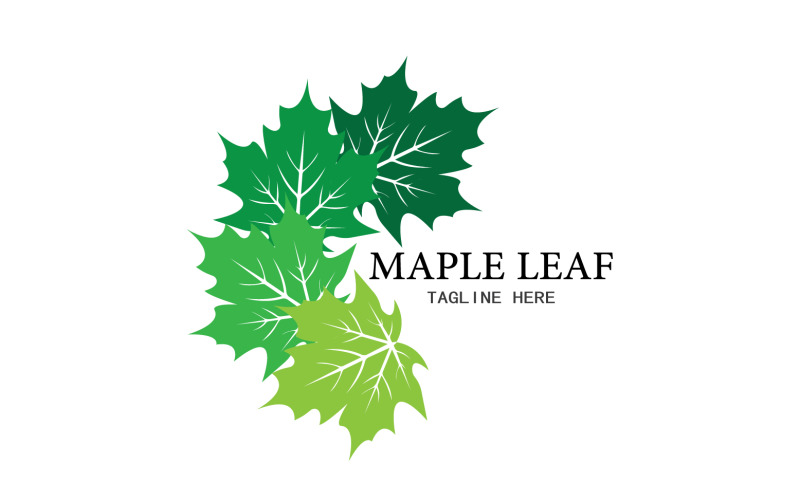 Leaf Mapple vector logo icon v47 Logo Template