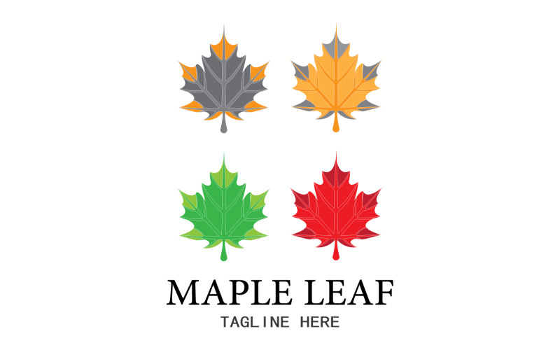 Leaf Mapple vector logo icon v48 Logo Template