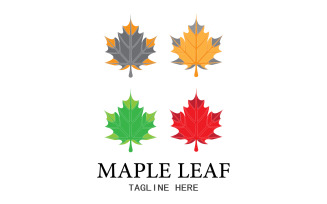 Leaf Mapple vector logo icon v48