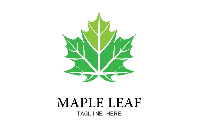 Leaf Mapple vector logo icon v4 Logo Template