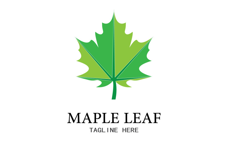 Leaf Mapple vector logo icon v5 Logo Template