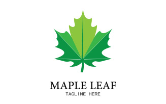 Leaf Mapple vector logo icon v6