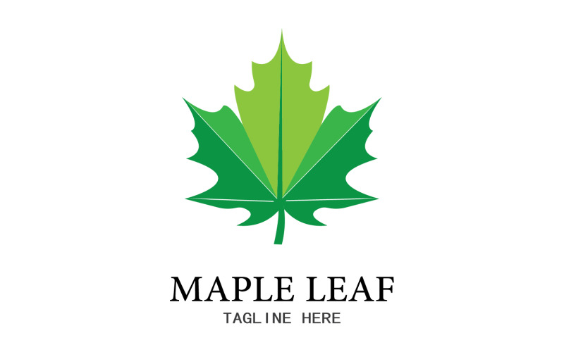 Leaf Mapple vector logo icon v6 Logo Template