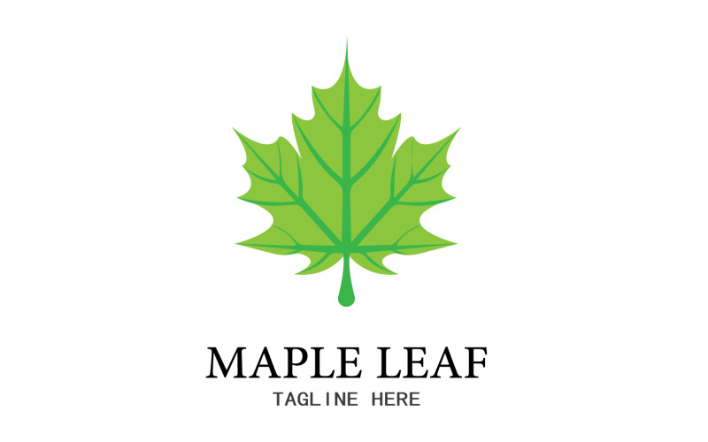 Leaf Mapple vector logo icon v7 Logo Template