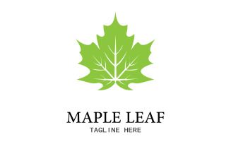 Leaf Mapple vector logo icon v8