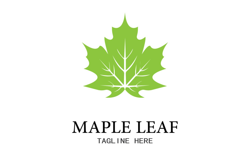 Leaf Mapple vector logo icon v8 Logo Template