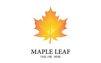 Leaf Mapple vector logo icon v9