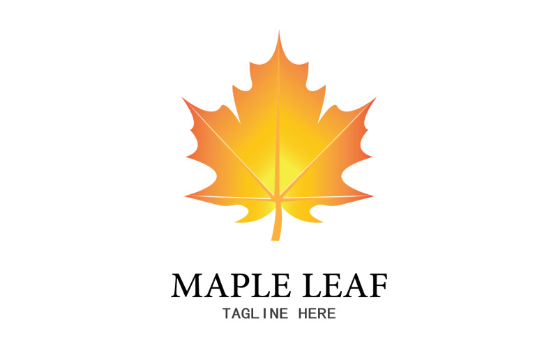 Leaf Mapple vector logo icon v9 Logo Template