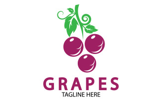 Grape fruits fresh icon logo v14