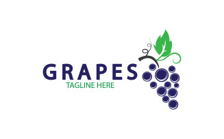 Grape fruits fresh icon logo v33