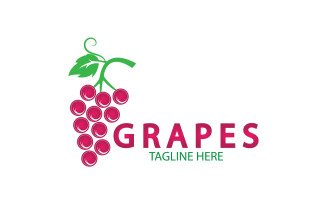 Grape fruits fresh icon logo v35