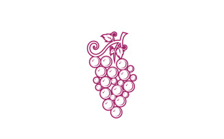Grape fruits fresh icon logo v94
