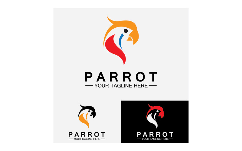 Bird Parrot head logo vector v12 Logo Template
