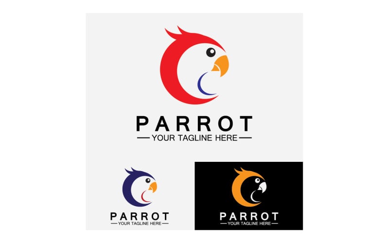 Bird Parrot head logo vector v16 Logo Template