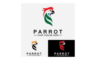 Bird Parrot head logo vector v18