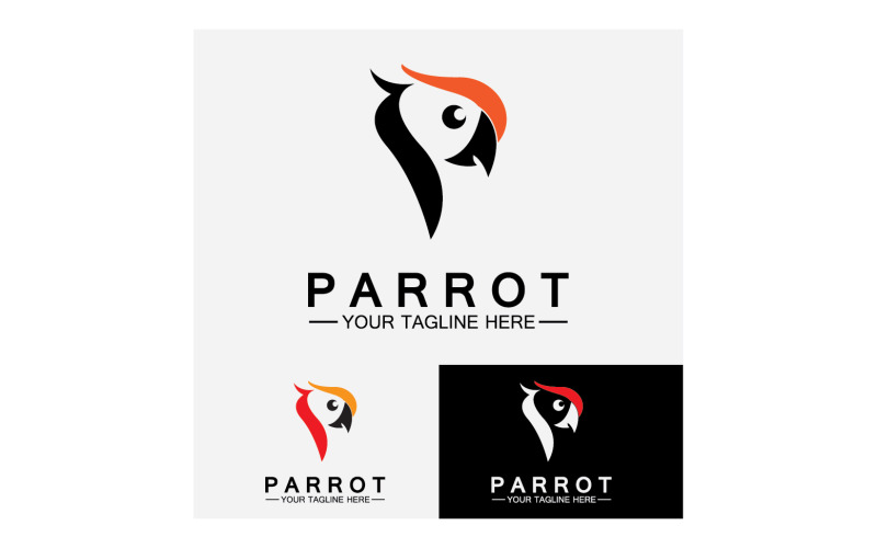 Bird Parrot head logo vector v24 Logo Template