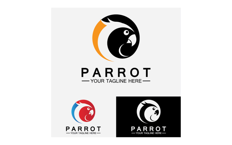 Bird Parrot head logo vector v31 Logo Template