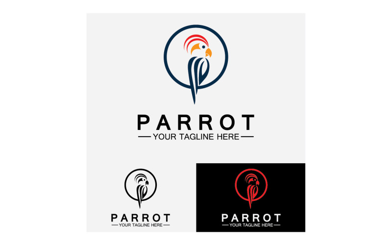 Bird Parrot head logo vector v40 Logo Template