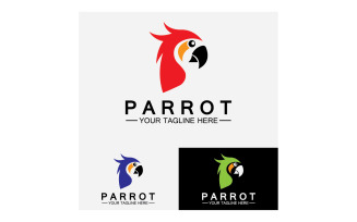Bird Parrot head logo vector v8