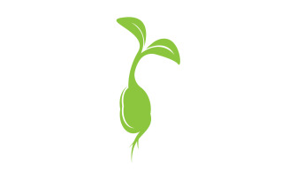 Seeds sprout sprouts template logo v16