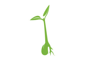 Seeds sprout sprouts template logo v20