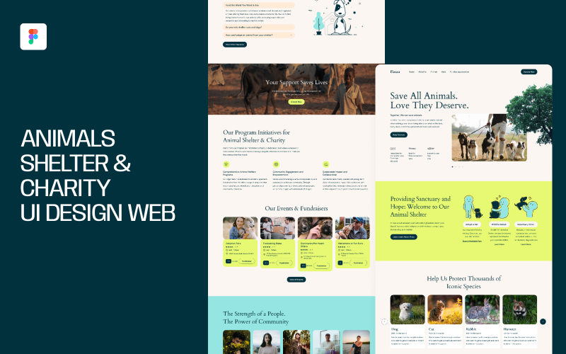 Animals Shelter & Charity UI Design Web UI Element