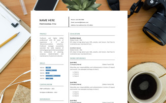 Clean Professional Resume Template