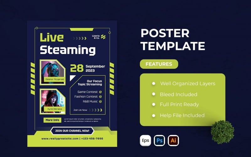 Live Streaming Music Poster Corporate Identity