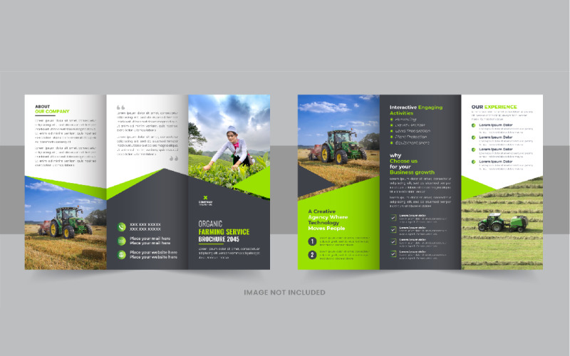 Gardening or Lawn Care TriFold Brochure Design Vector Corporate Identity