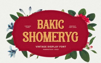 Bakic Shomeryg Display Font