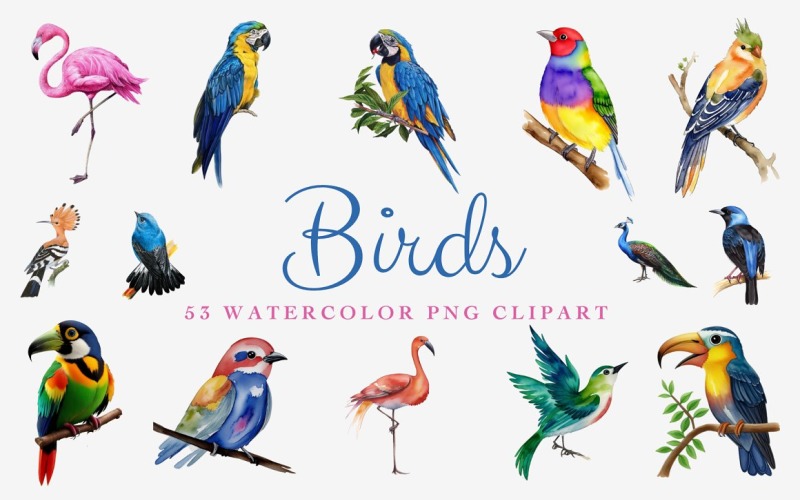 53 Watercolor Birds PNG Clipart Background