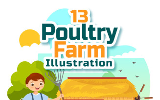 13 Poultry Farm Vector Illustration