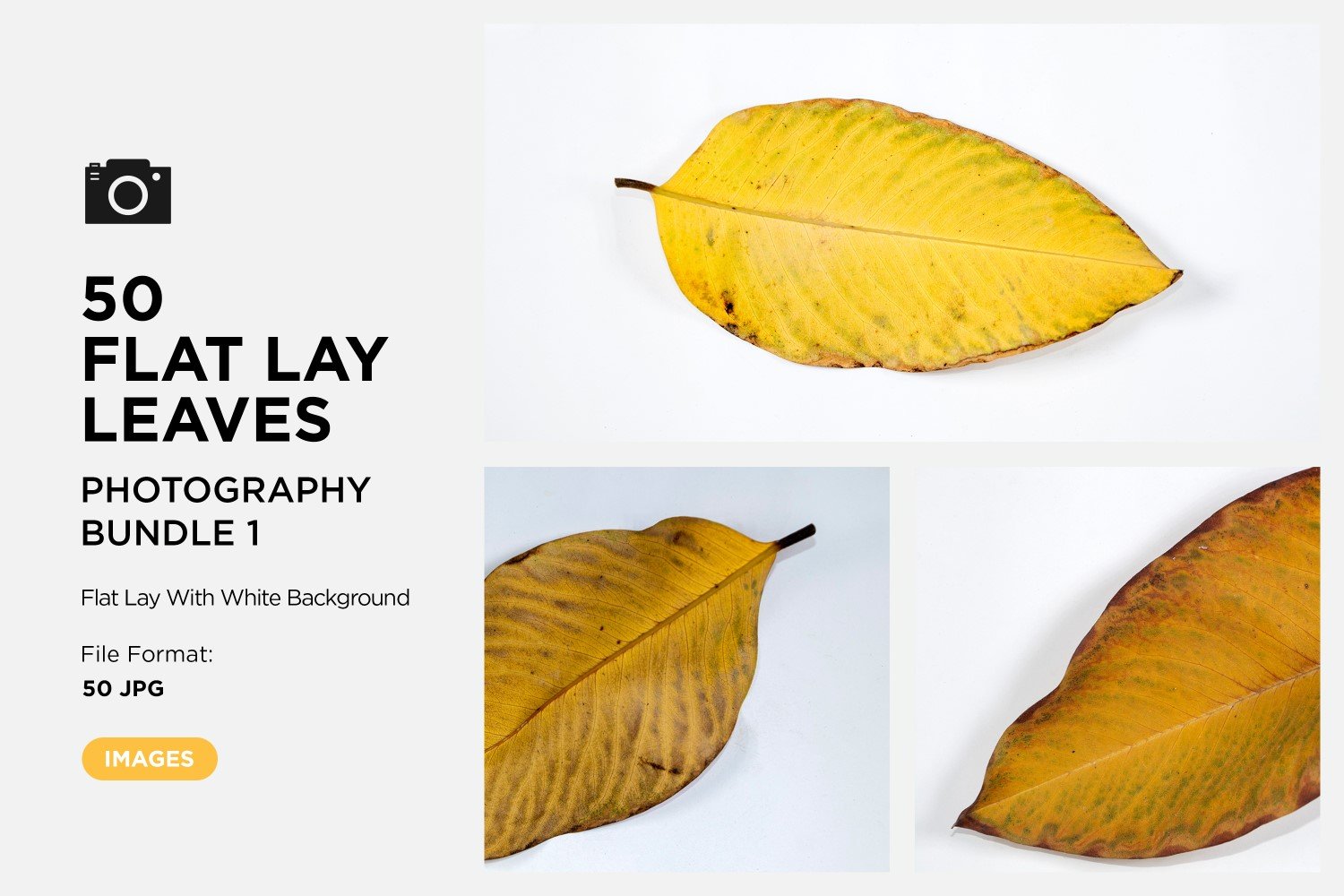 Template #361201 Lay Leaf Webdesign Template - Logo template Preview