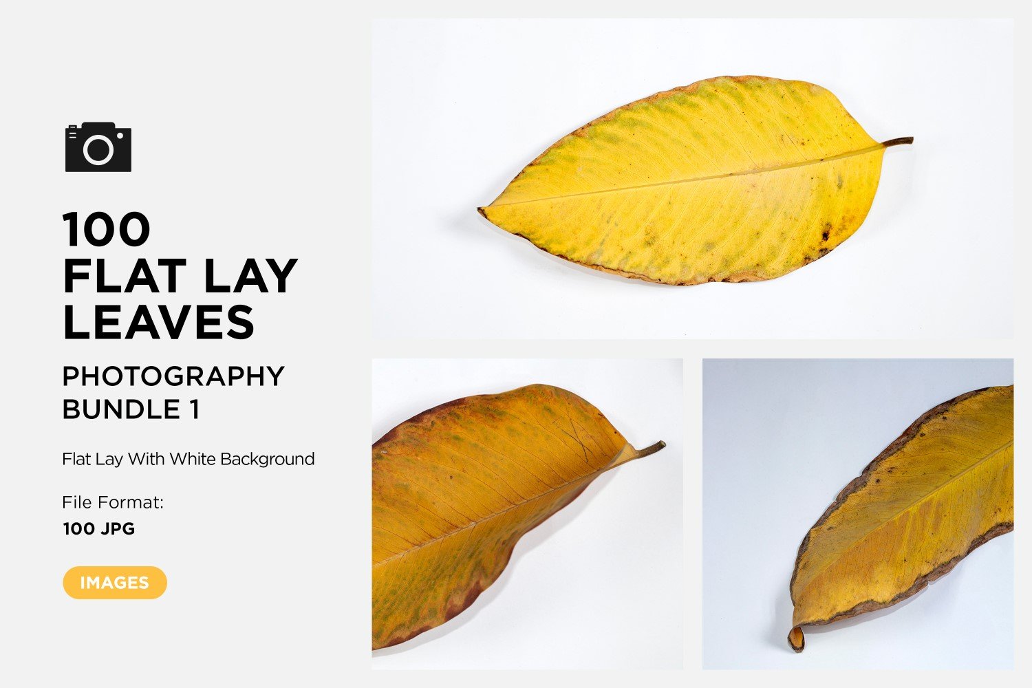 Template #361203 Lay Leaf Webdesign Template - Logo template Preview