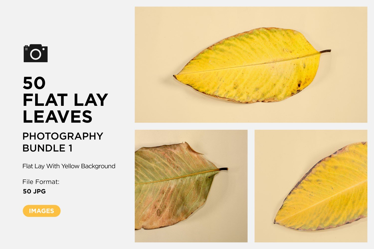 Template #361204 Lay Leaf Webdesign Template - Logo template Preview