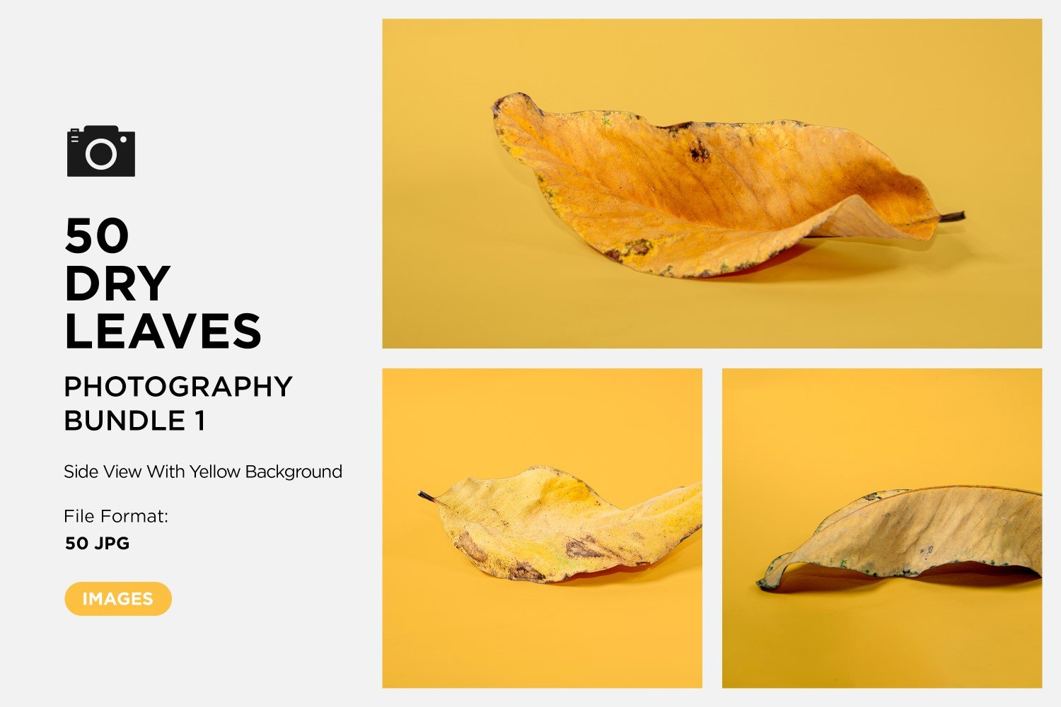 Kit Graphique #361571 Dead Leaf Divers Modles Web - Logo template Preview