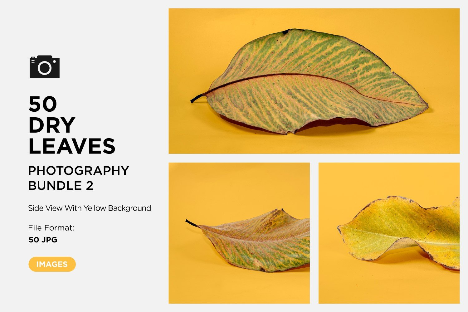 Template #361573 Leaf Dry Webdesign Template - Logo template Preview